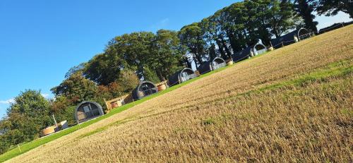 Leyburn Other | Eastfield Glamping Farm
