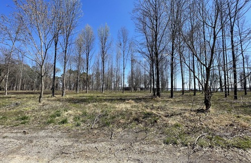 Carbondale RV Rental | Eclipse Campsites Available. Waterfront views