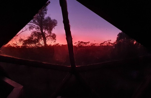 Bullaburra House | Eco-friendly, unique, watch the stars at night!