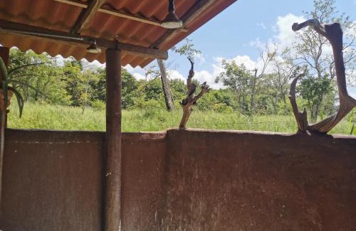 Hingurakgoda Other | Eco Lodge Safari