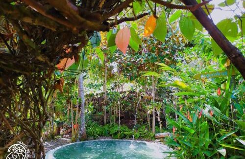 San Antonio Bed & Breakfast | Eco Lodge Villa Laura