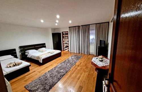 Moisei House | ECO-TIM