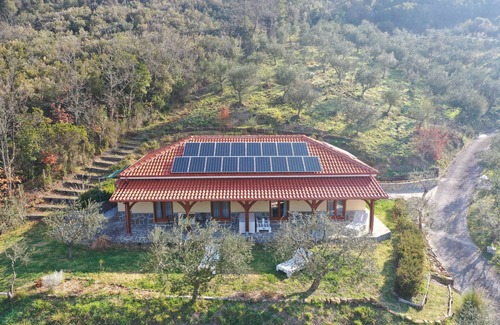 Cicerale Apartment | Ecolodge Selvitelle - Sustainable Retreat Amidst Olive Groves in Cilento