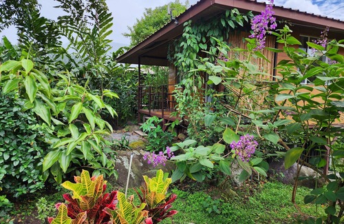 Los Naranjos House | Ecoresort: We are Panamas leading honey producer and butterfly exhibit.