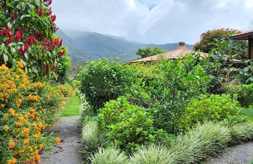 Los Naranjos House | Ecoresort: We are Panamas leading honey producer and butterfly exhibit.