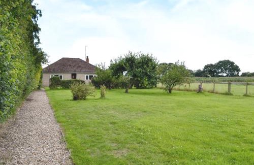 Shaftesbury House | Edgecoombe