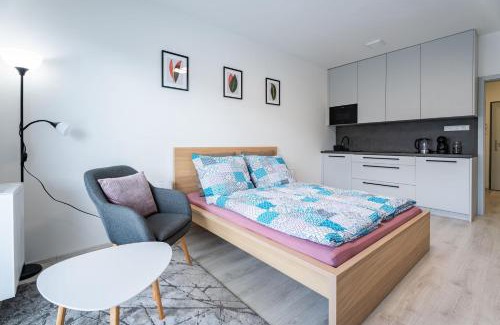 Olomouc Apartment | Edmund's apartments 21