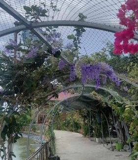 Ninh Phuoc Ski Chalet | Ef farm