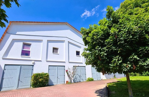 Schwanbeck Apartment | Ehemalige Scheune am Dassower See