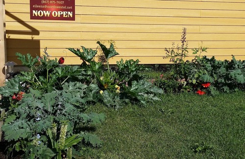 Hay River House | Eileen's Bed & Breakfast