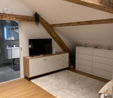 Birsfelden Apartment | Eine schöne Wohnung an der Birs