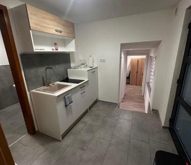 Erkenbrechtsweiler Apartment | Einzelzimmer