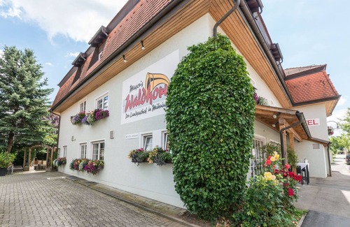 Mahringen Apartment | Einzelzimmer Komfort