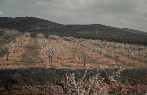 Alcala la Real Bed & Breakfast | El Carmen