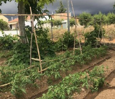 Alcala la Real Bed & Breakfast | El Carmen