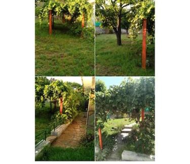 La Falda House | El mocasin