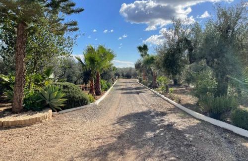 Bollullos de la Mitacion House | El Paraíso del Olivar