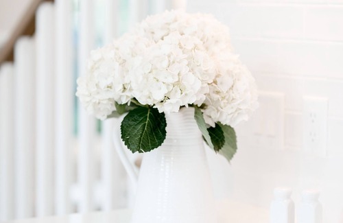 Fairhope Cottage | Elegant Cottage on the Bluff Downtown Fairhope (A)