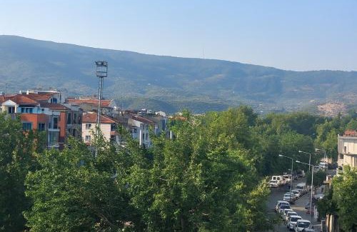 Selcuk Apartment | Elegant Ephesus Suites