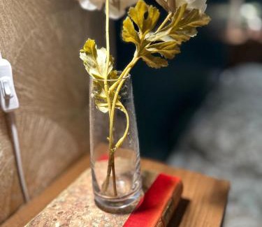 Oster Apartment | Elegant Villa Studio