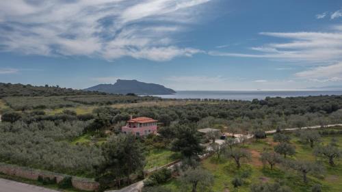 Papadhianika House | Eleni's House