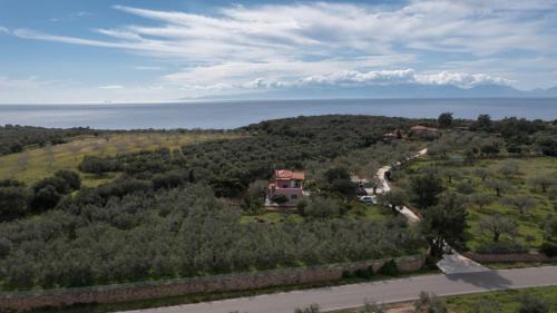 Papadhianika House | Eleni's House