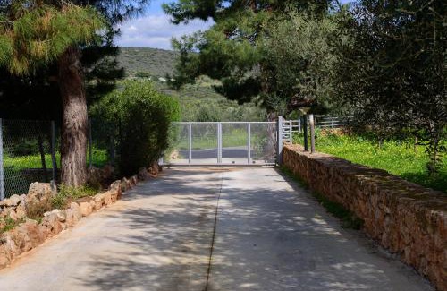 Papadhianika House | Eleni's House