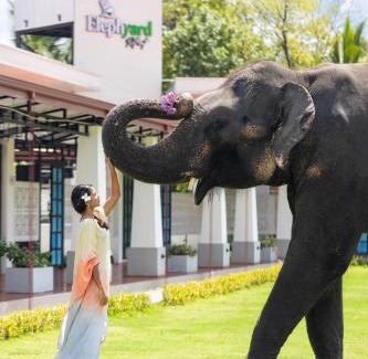 Mahiyanganaya Resort | Elephyard Retreat