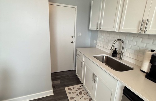 Oak Park Apartment | Elevated & Elegant 4 BD 2BA apartment 25 min to downtown