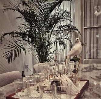 Bolsward Bed & Breakfast | Elf bed and breakfast
