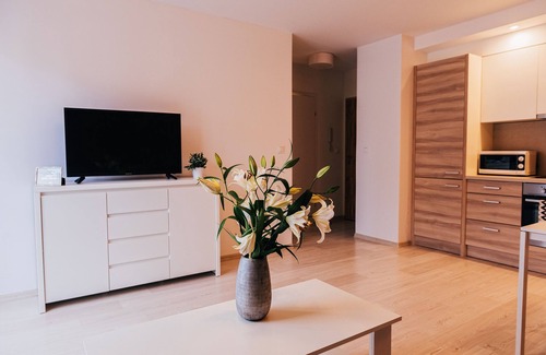 Siedlce Apartment | Elite Apartments City Center Suites