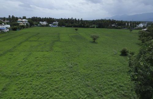 Gobichettipalayam House | Elite Villa