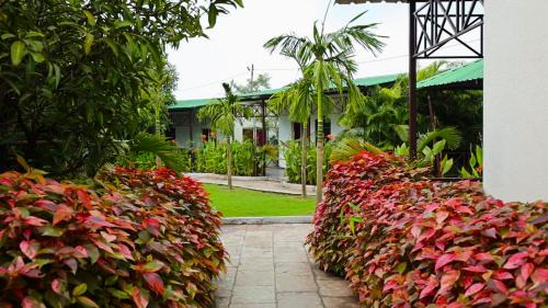 Alibaug Resort | EliteHotels and Resorts Pvt Ltd