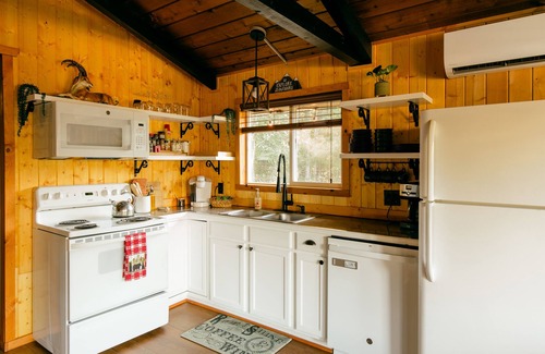 Packwood Cabin | Elk Cabin, Hot Tub, AC, Fire Pit, River Access