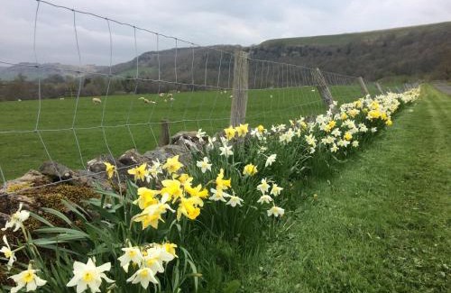 Fremington Bed & Breakfast | Ellerton Lodge Bed and Breakfast Swaledale