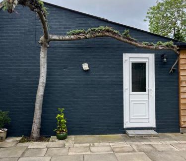 Swalecliffe Bed & Breakfast | Elmwood Lodge