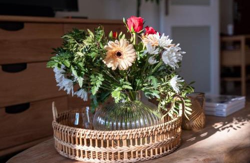 Vernet-les-Bains Apartment | Elsea