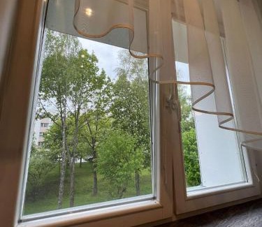 Telsiai Apartment | Elsertos namai