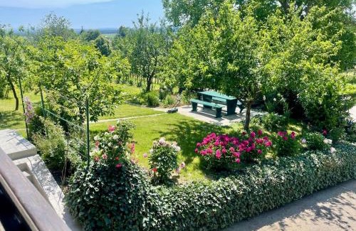Moravske Toplice House | Elton384