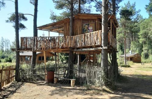 Lohusuu Other | Elulõng Camping