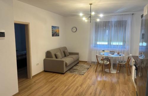 Pecica Apartment | Emanuela Apartments
