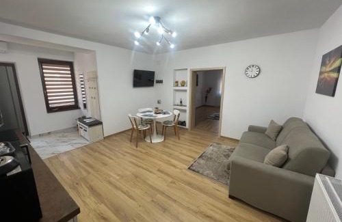 Pecica Apartment | Emanuela Apartments