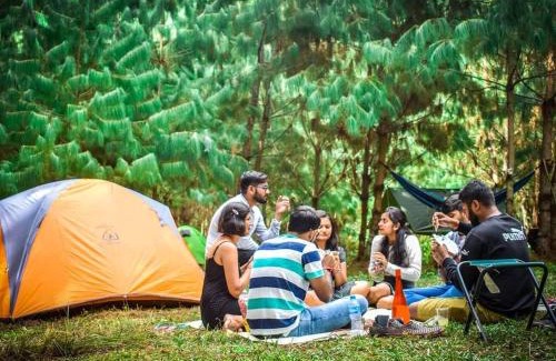 Ziro Other | Encamp Ziro Valley Camp