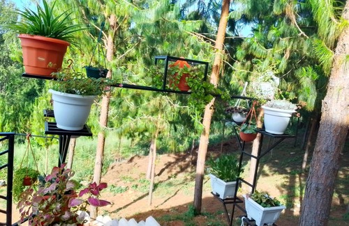 Lushoto Apartment | Enchanting 4-bedroom apartment with WiFi in Lushoto Tanga