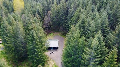 Mineral House | Enchanting Private Forest Retreat near Mt Rainier