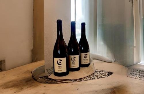 Montagna House | Engadiner Apartments & Wines
