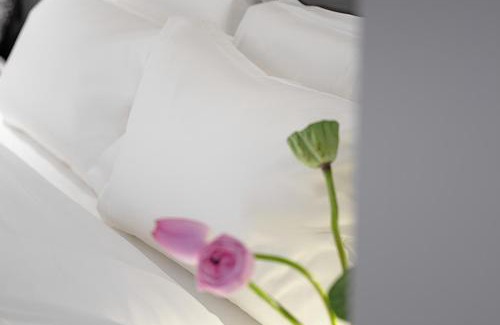Beilin Hotel | Enji M Hotel-Xi’an datangbuyecheng