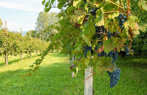 Udine House | Enjoy a relaxing vacation in this welcoming and comfortable cottage.