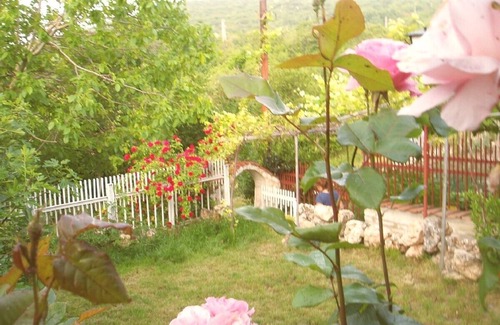 Fish Fish Villa | Enjoy your holiday in a beautiful Holiday Villa close to nature