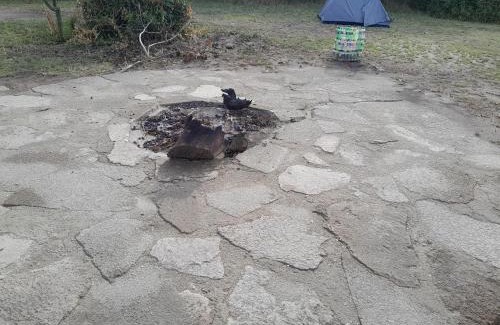 Kasese Cabin | Entale Safari Camp Queen Elizabeth National Park